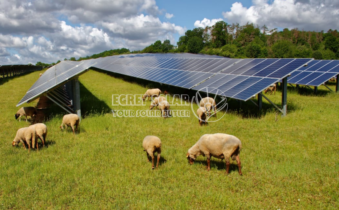 Стратегічне співробітництво між Egret Solar New Energy Technology і Smart Concept Energy