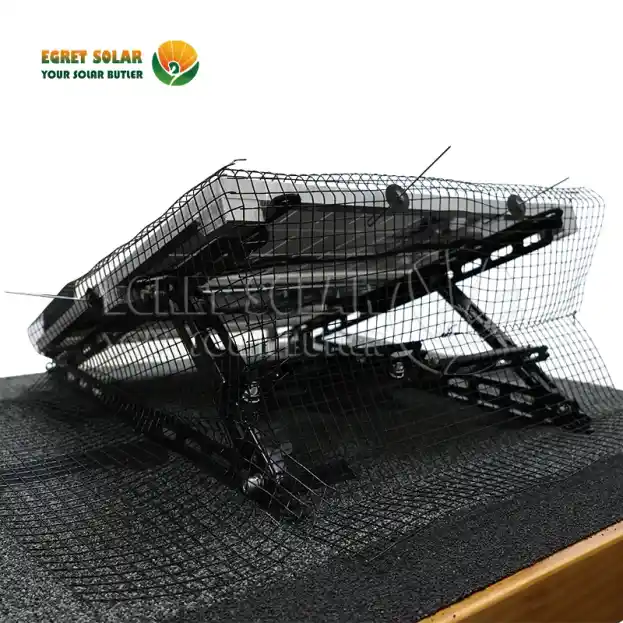 Чому сонячні сітки для птахів є ключовою лінією захисту?